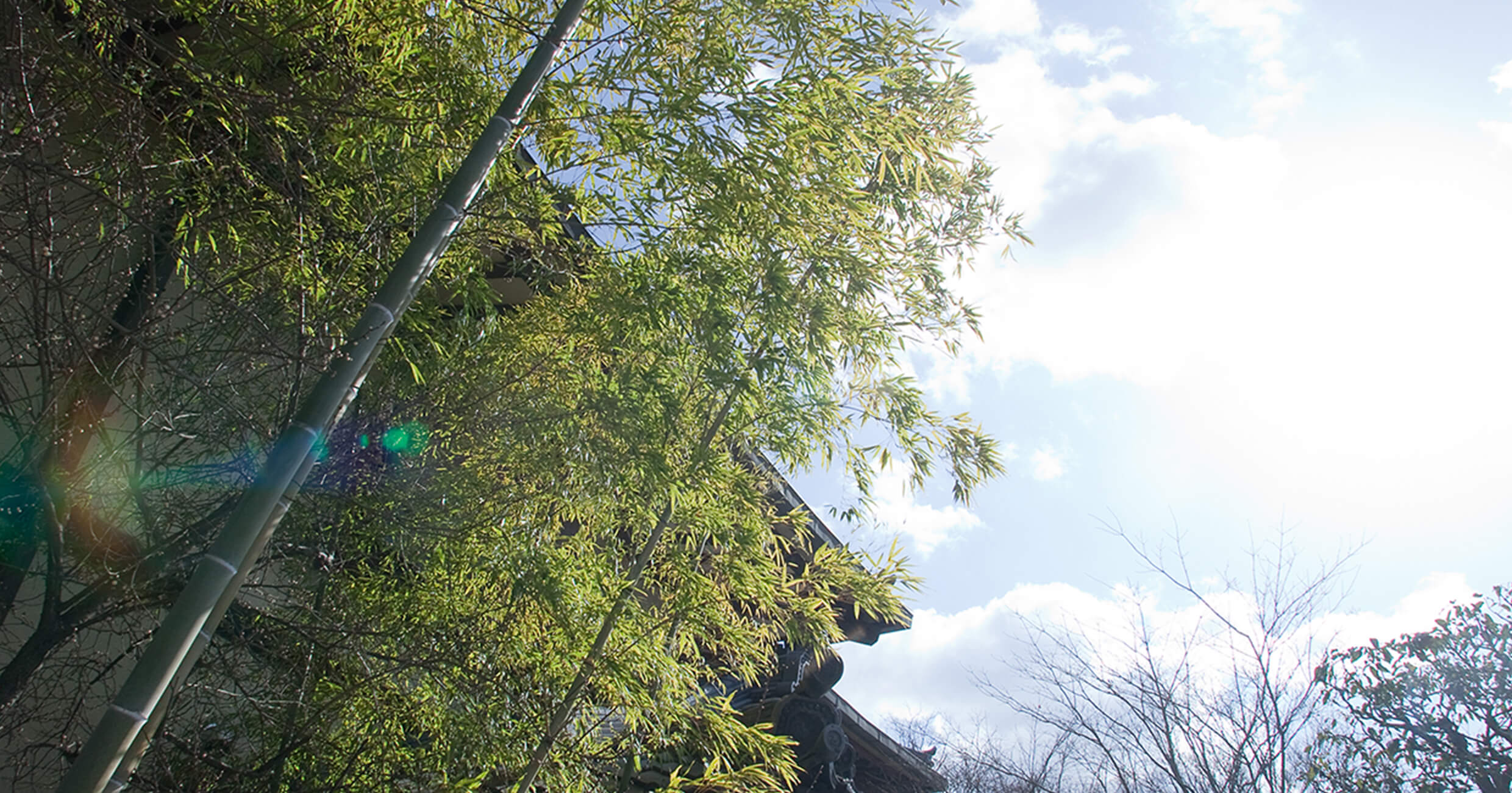 四季亭の施設の様子